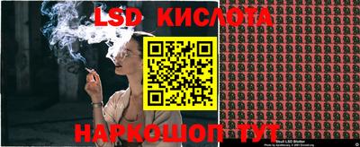 СК Кингисепп