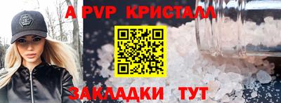 СК Кингисепп