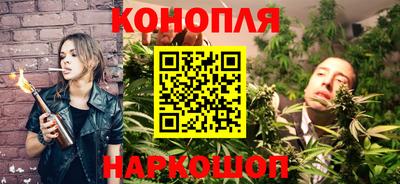 СК Кингисепп
