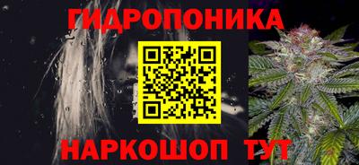 СК Кингисепп