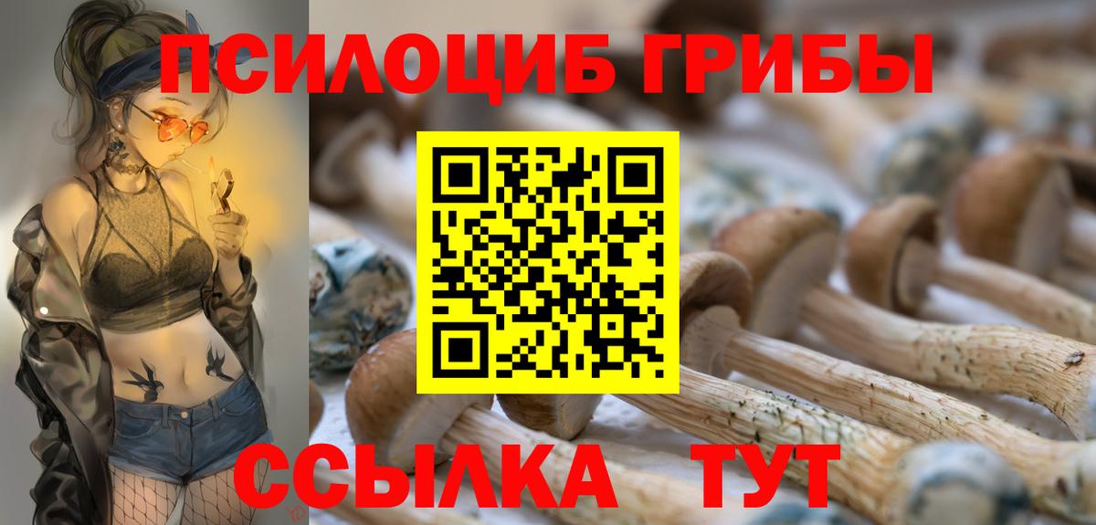 Псилоцибиновые грибы Psilocybe Уссурийск
