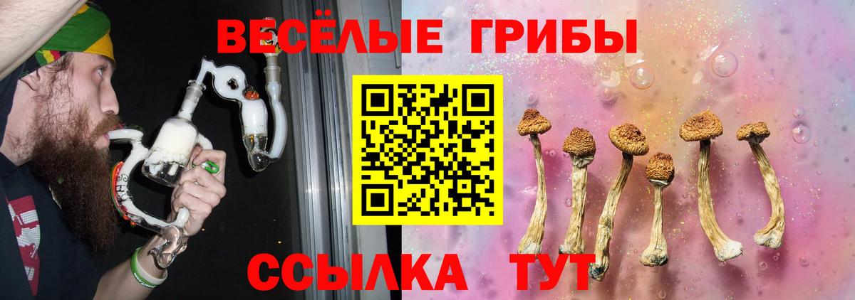 Галлюциногенные грибы прущие грибы  Вход с VPN  Уссурийск 